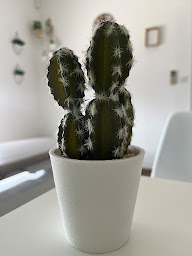 Photo n°8 de Marion Perrissin-Fabert à Royan (Ostéopathe)