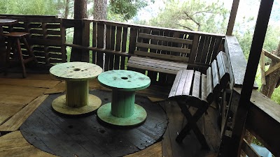 Photos of Rustik Bar and Hostel