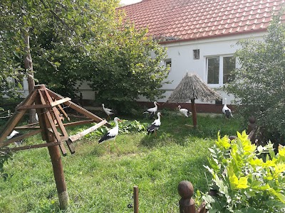 Photos of Bird Hospital Foundation
