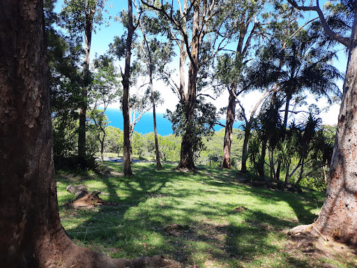 Waikamoi Nature Trailhead and Parking Area Gallery - United States