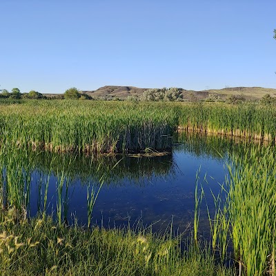 Downstream Campground