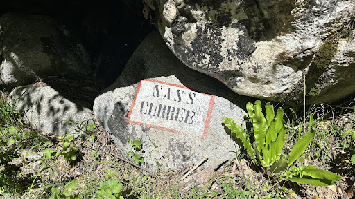 Sass Corbee - Thumbnail