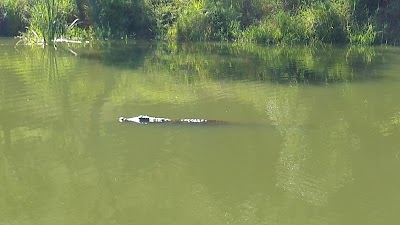 Photos of Thangami mineral spa and game reserve