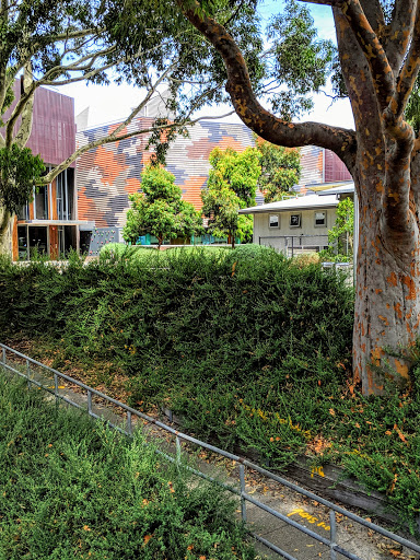Monash University Peninsula Campus - Thumbnail