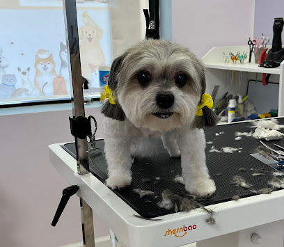 Doggie & Kitty Cat Grooming Salon