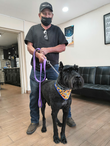 Veterinaria Sarabia
