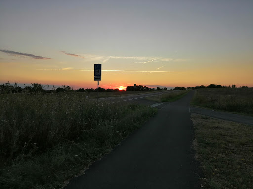 Naturlehrpfad im Oberholz (Gochsheim) - Thumbnail