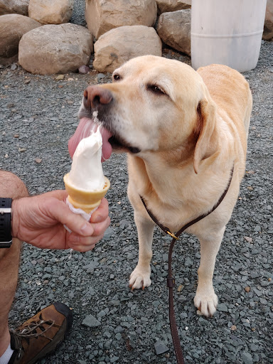 Udderly Ice Cream - Thumbnail