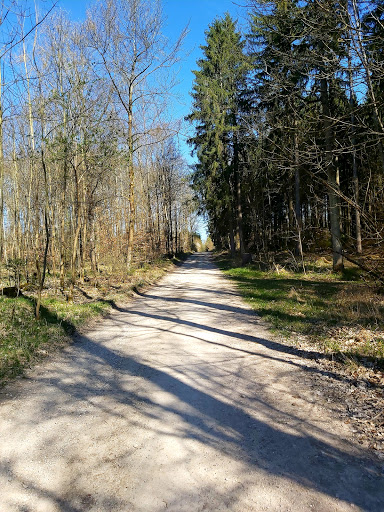 Stammham Wald - Visual