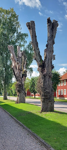 Museilägenheterna - Thumbnail