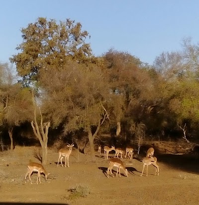 Photos of Skukuza Golf Club