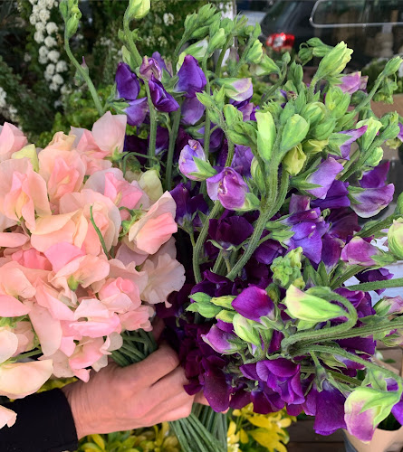 freshflower.co.uk