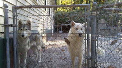 Arkansas Alligator Farm & Petting Zoo