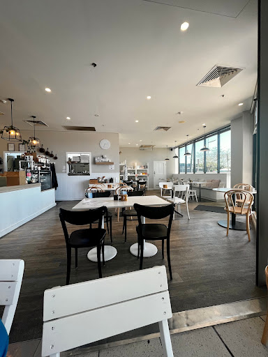 Tribeca & Co - Thumbnail