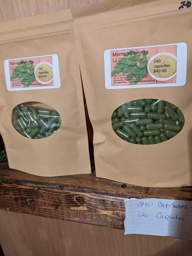 Mormormoringa LLC - Visual