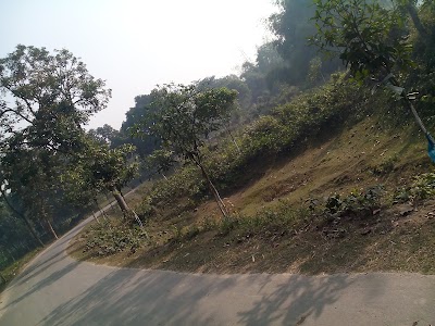 Photos of কাকডোব কবর স্থান