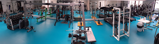 Phil Fitness - Thumbnail