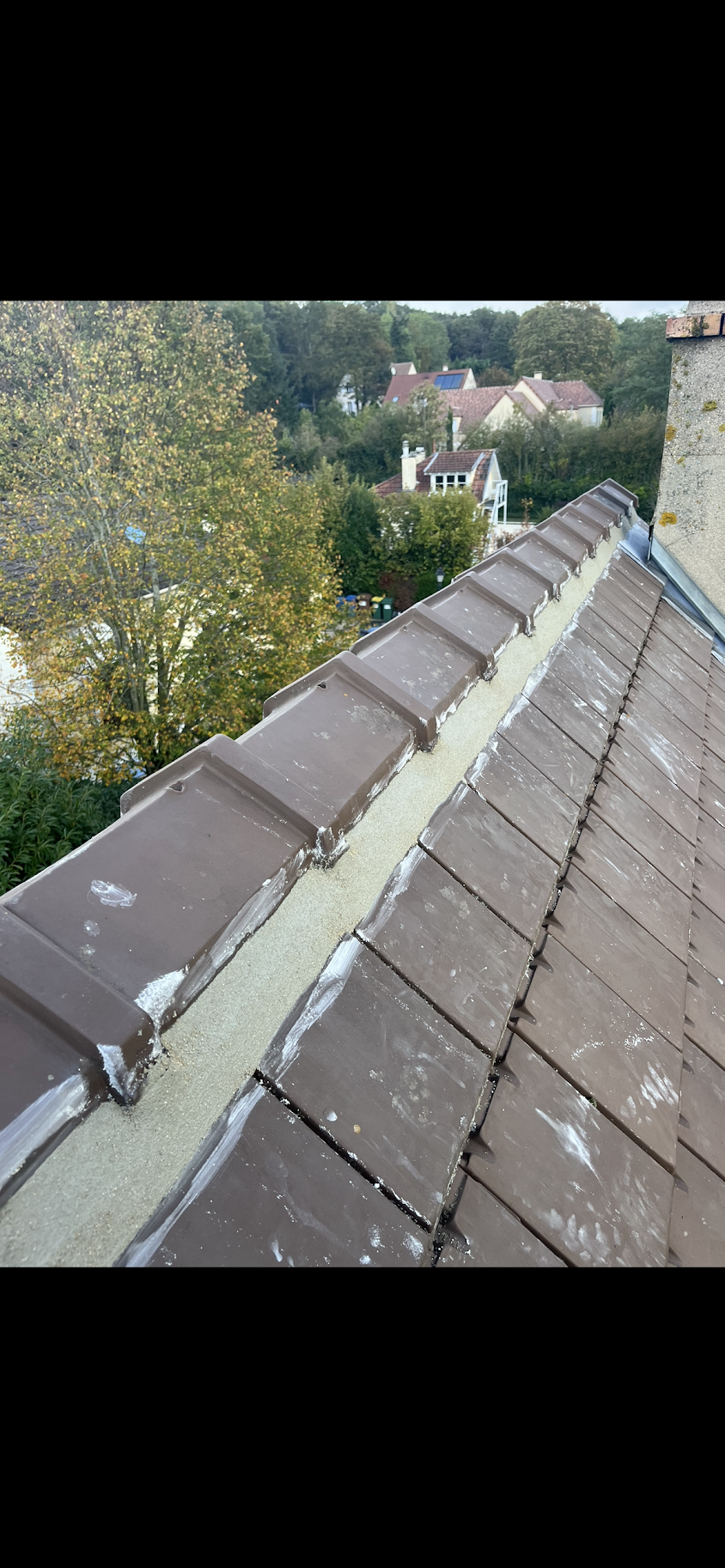 Zimmermann F. couverture