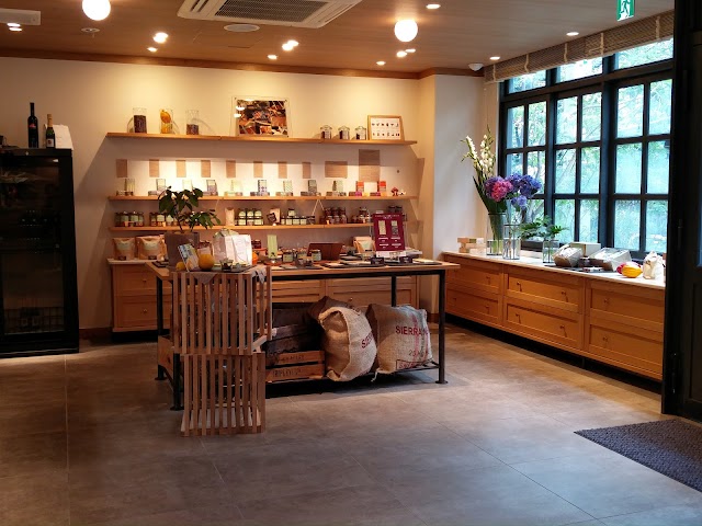 Green bean to bar chocolate