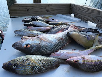 Photos of Capt. Kid & Son Charters