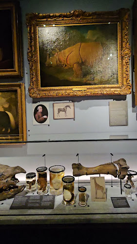 hunterianmuseum.org