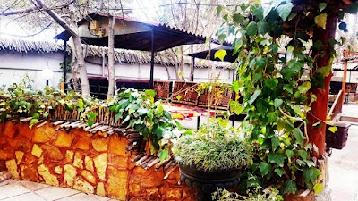 Photos of رستوران پادرا