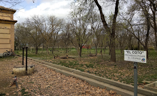 El Coto Park - Thumbnail