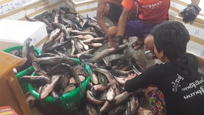 Photos of Thanlwin Fish Market