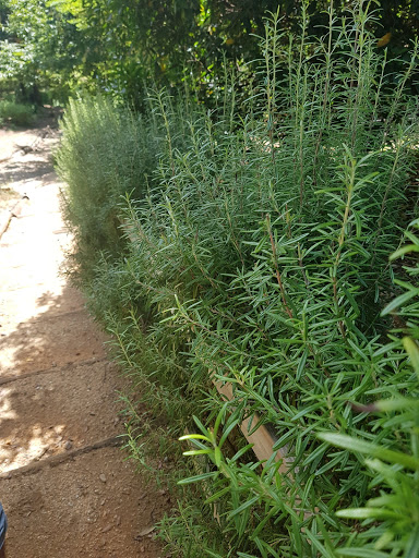 Les Jardins de Mazet