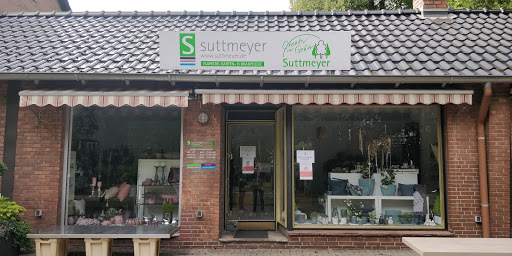 Shop Suttmeyer - Creativ in Grün