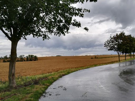 Grundschule Westerende-Kirchloog - Thumbnail