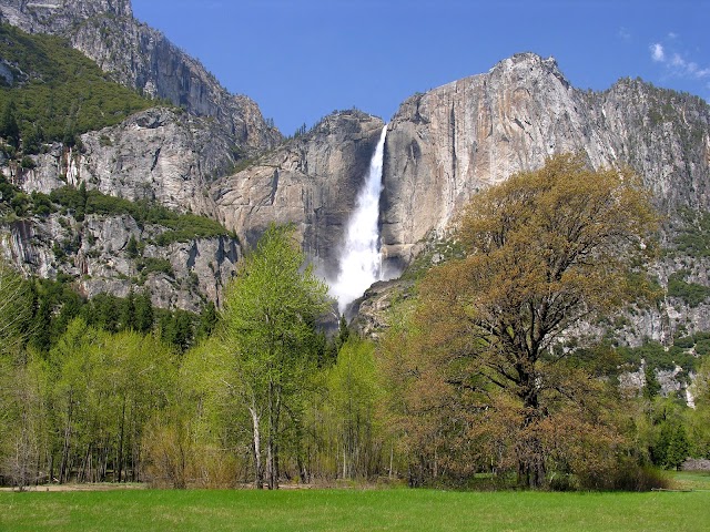 Yosemite Valley Lodge