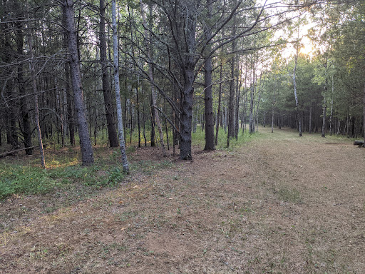 Red Pine Run - Visual