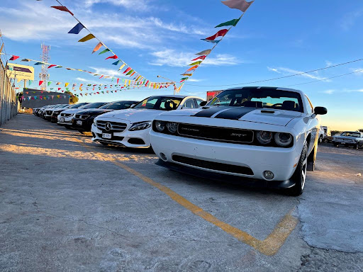Premium Cars Pachuca