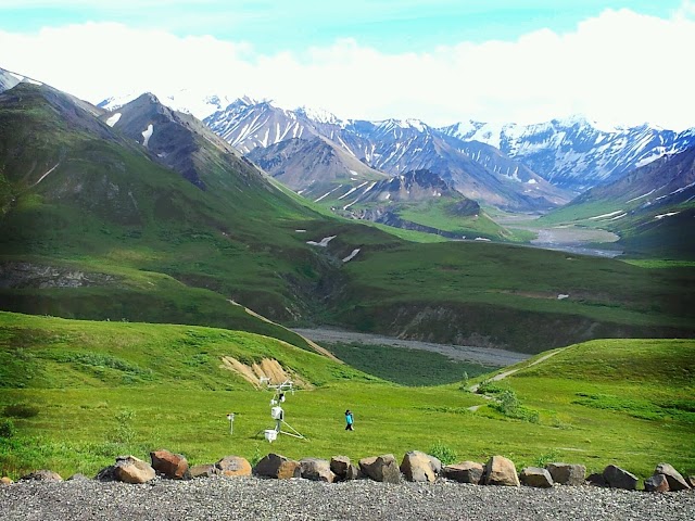 Denali National Park and Preserve