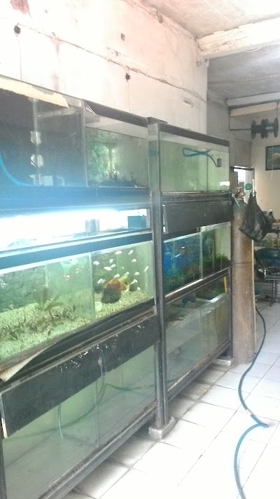 Photos of Pahlawan Aquarium