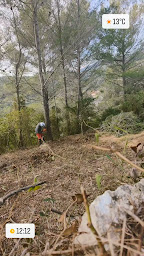 Photo n°28 de Julien D'jardin à Montauroux (Jardinier)