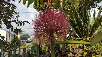 Photos of Las Tinajas Cuba