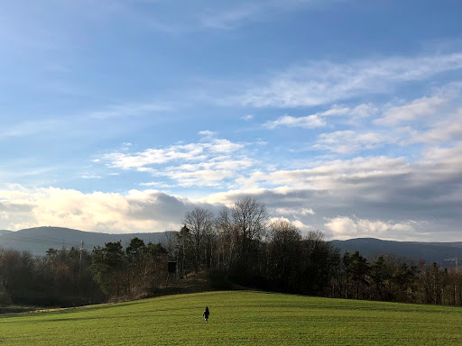 Roter Berg Saalfeld - Visual