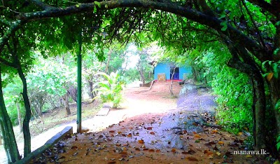 Photos of Green Center