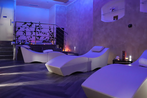 Wellness Moroni - Visual
