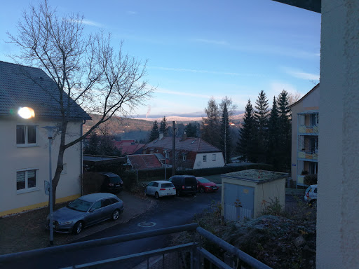 Grünspecht - Visual