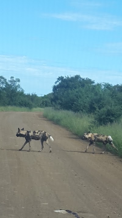 Photos of Marloth Park, Sekelbos Dr