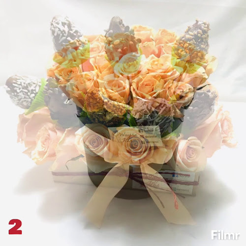 Opiniones de Wayra Flor en Quito - Floristería