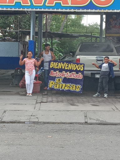 Auto detallado el panzas