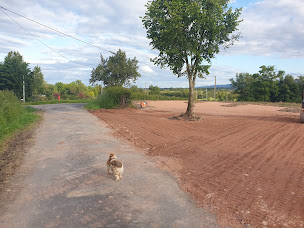 Photo n°2 de GAEC LEROY - Vente à la ferme à Montaiguët-en-Forez (Magasin de produits de la ferme)