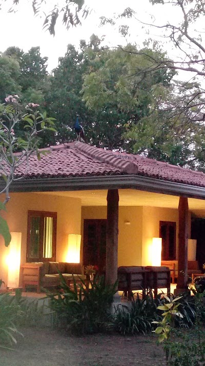 Photos of Nikara Yala Beach Villas