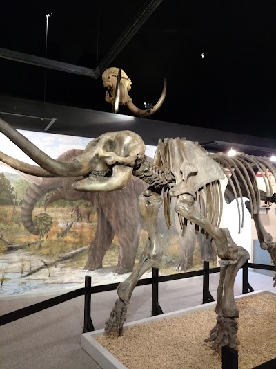 museum
