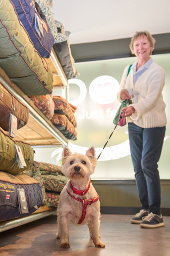 DOG by Just for Pets Cirencester Gallery - United Kingdom