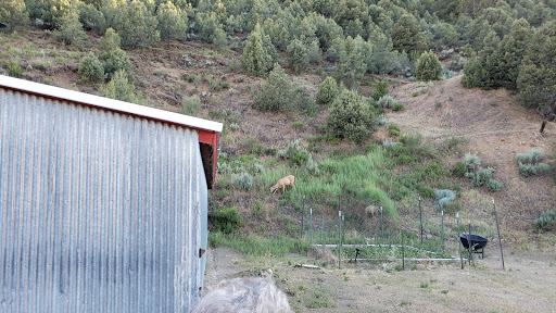 Lahontan Valley Vet. Clinic - Thumbnail